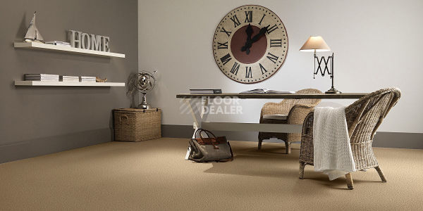 Ковролин AW Stainguard Harvest 39 фото 2 | FLOORDEALER